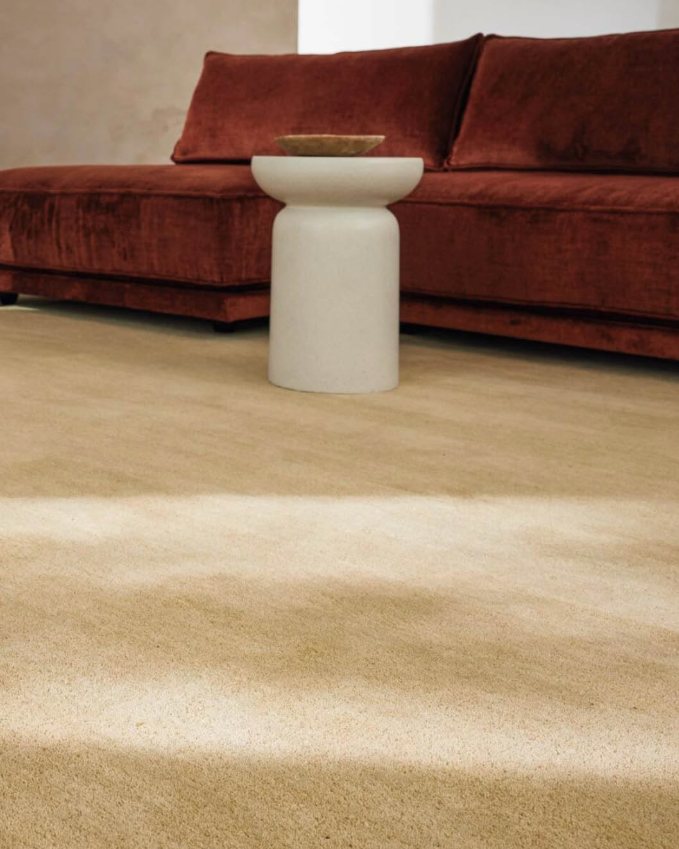 Heller Teppichboden mit Polstersofa